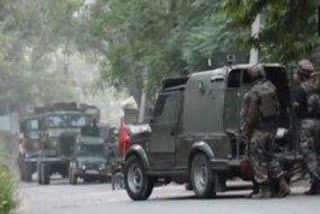 Search operation continues in Shopian