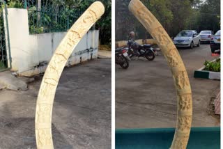 Attempt to sell carved elephant ivory