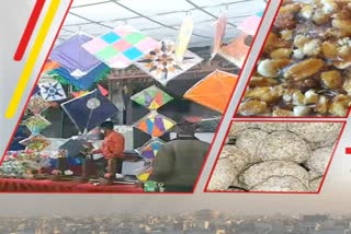 makar sankranti in jaipur, special panchagrahi