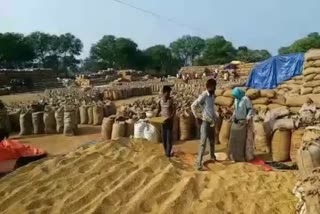 paddy purchase in chhattisgarh