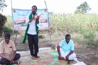 Farmers celebrates Sankranti in between their crop with folk song