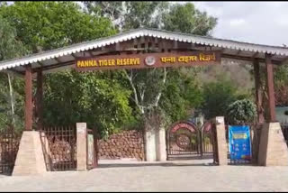 Panna Tiger Reserve