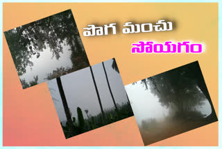 fog in godavari districts