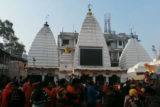 makar sankranti at baba bhole temple