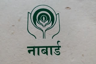 Nabard role in bihar