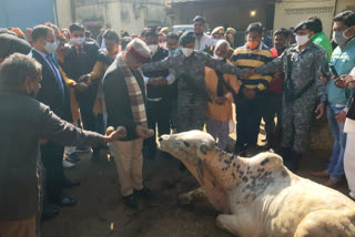 om birla reached at kota, makar sankranti celebration in kota