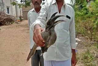 bird handover forest officer in penukonda anantapur district