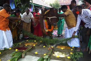 Pongal Festival