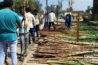 sugar cane prize rise in chitradurga