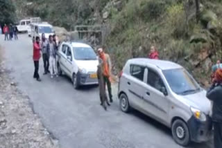 Leopard having fun with people on road