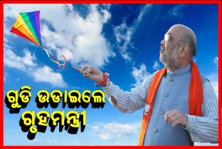 ମକର ସଂକ୍ରାନ୍ତି ଅବସରରେ ଗୁଜୁରାଟରେ ଗୁଡି ଉଡାଇଲେ ଗୃହମନ୍ତ୍ରୀ ଶାହ