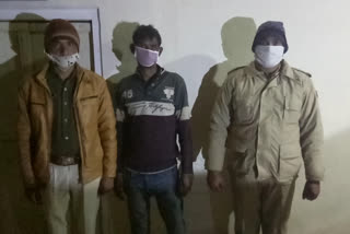 police arrested absconding accused, sikar latest hindi news