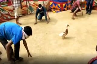boko-bihu-traditional-game