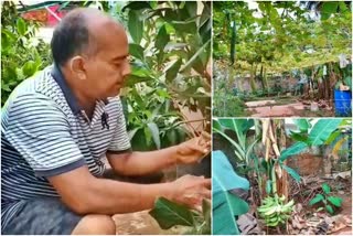 blani-dsouza-terrace-garden-in-mangalore