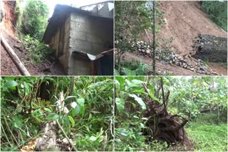 idukki rain news  idukki latest news  idukki highrange rain latest  ഇടുക്കി മഴ വാർത്തകൾ  ഇടുക്കി വാർത്തകൾ  ഹൈറേഞ്ചിൽ മഴ വാർത്ത