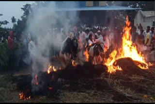 Sankranti celebration in mandya