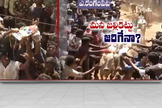 పశువుల పండుగ నిర్వహణపై సందిగ్ధత