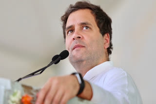 Congress to gehrao Raj Bhavans across country, Rahul Gandhi to lead protest in Delhi