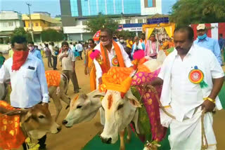 సంక్రాంతి పర్వదినాన గోమాతలకు ప్రత్యేక పూజలు