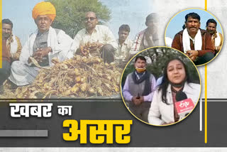 Farmers cultivating turmeric in Bhilwara, ईटीवी भारत की खबर का असर