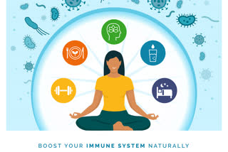 immunity, immunity boosting, alcohol and immunity