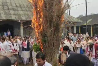 সত্ৰীয়া পৰম্পৰাৰে বৰপেটাত ভোগালী বিহু উদযাপন