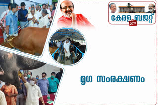 budget 2021  10 crore for night and day animal health services  night and day animal health services  animal health services  kerala budget  kerala budget 2021  budget 2021  തോമസ് ഐസകിന്‍റെ ബജറ്റ്  മൃഗ സംരക്ഷണം  രാത്രിയിലും മൃഗാരോഗ്യ സേവനം  മൃഗാരോഗ്യ സേവനം  മൃഗങ്ങൾക്ക് ആംബുലന്‍സ് സേവനം