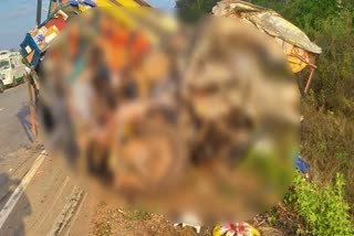 Karnataka road accident