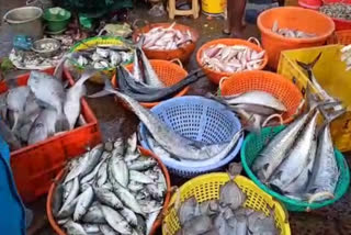 pongal-festival-cuddalore-port-sells-fish