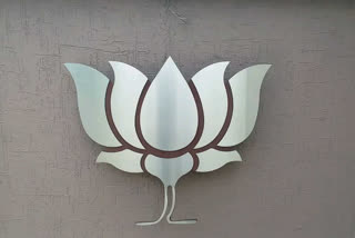 ગુજરાત વાઇબ્રન્ટ શરૂ કરાવનારા એ.કે.શર્મા હવે ભાજપના નેતા બનશે