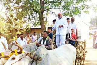 mlc jeevan reddy Attended Kanuma festival organized by Porandla villagers  of Jagtial