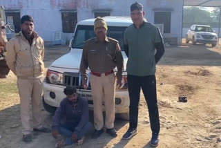 भीलवाड़ा की ताजा हिंदी खबरें, Illegal poppy doda sawdust, Badlias Police Station