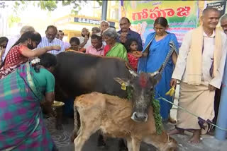 gopuja at Vizianagaram