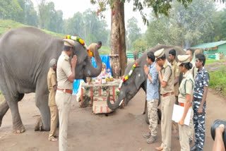 யானைப் பொங்கல் கொண்டாட்டம்