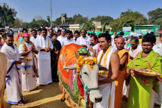 cow worship in mahanandi