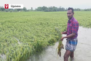 Farmers demand compensation for agricultural lands affected by the floods
