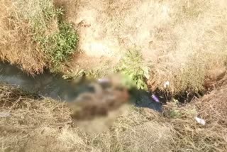 unknown woman dead body found on gharaunda-hasanpur road in karnal