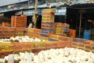 Ghazipur poultry market started from Friday