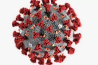 Alappuzha covid updates  ആലപ്പുഴയിലെ കോവിഡ് കണക്കുകൾ  Alappuzha coronavirus updates