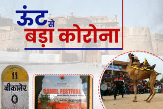 बीकानेर कैमल फेस्टीवल खबर,  बीकानेर ऊंट उत्सव विदेशी सैलानी,  Bikaner Tourism & Hotel Industry,  Bikaner camel festival foreign tourists,  Bikaner Camel festival news,  Rajasthan Bikaner tourism news