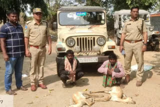 two-arrested-for-killing-wild-animals-in-kaamareddy-district