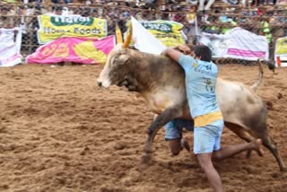 கூலமேடு ஜல்லிக்கட்டு ஒத்திவைப்பு