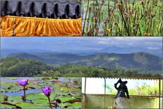 kerala's famous peak kattuttimedu