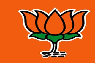 bjp announced six more candidates for legislative council election in uttar pradesh