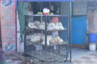 meat-shops-operating-unlicensed-amid-bird-flu-in-ambala