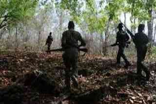 Naxalite killed in encounter