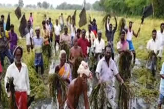 நாகப்பட்டினம் மாவட்டச் செய்திகள்  நாகை செய்திகள்  நாகை விவசாயிகள் போராட்டம்  கறுப்பு கொடிகளுடன் விவசாயிகள் போராட்டம்  விவசாயிகள் போராட்டம்  Farmers Protest with black flags down the field  Farmers Protest  Nagai district news  Nagai latest news  Nagapattinam latest news