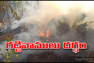 Haystacks burnt at Bhadradri Kottagudem district