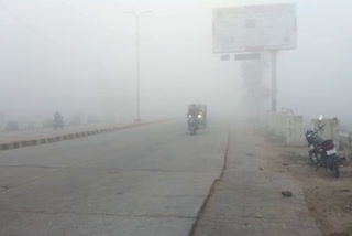 bharatpur weather update , dense fog in bharatpur