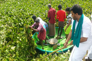 ஆகாயத்தாமரையை அப்புறப்படுத்தும் பணி தொடக்கம்